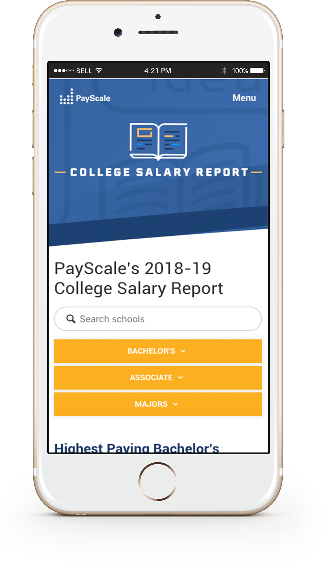 salary-report